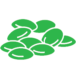 Lentils